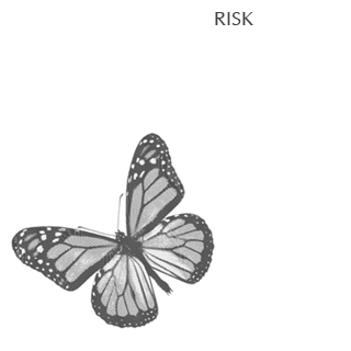 Risk 4 portfolio cover