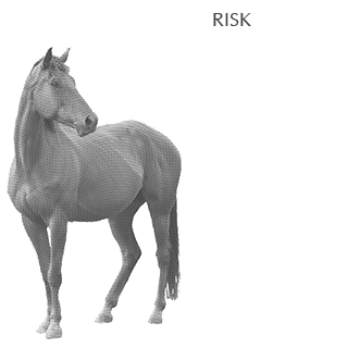 Risk 5 portfolio cover