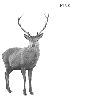 Risk 6 portfolio cover