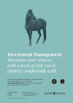 investment management