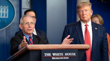 Feature image Dr. Anthony S. Fauci, director of the National Institute of Allergy and Infectious Diseases