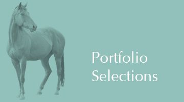 Portfolio selections