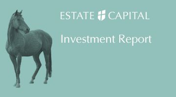Investment Report